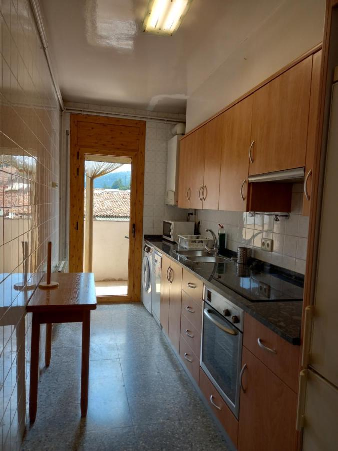 Pis Acollidor Amb Llar De Foc, Al Centre Camprodon Apartment Bagian luar foto