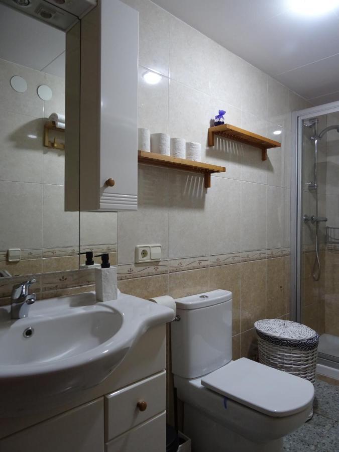 Pis Acollidor Amb Llar De Foc, Al Centre Camprodon Apartment Bagian luar foto